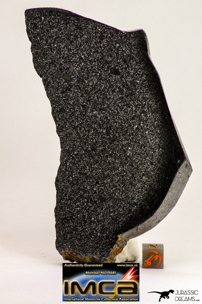 09101 - Top Rare Museum Grade NWA Polished Section of Enstatite Chondrite EL6 187.5 g