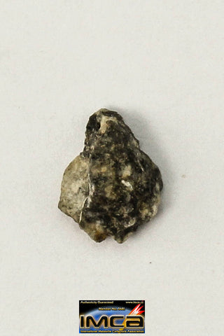 22252 - Lunar Meteorite Paired with "NWA 11273" 0.113 g (Feldspathic Regolith Breccia)