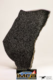 09101 - Top Rare Museum Grade NWA Polished Section of Enstatite Chondrite EL6 187.5 g