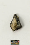22252 - Lunar Meteorite Paired with "NWA 11273" 0.113 g (Feldspathic Regolith Breccia)