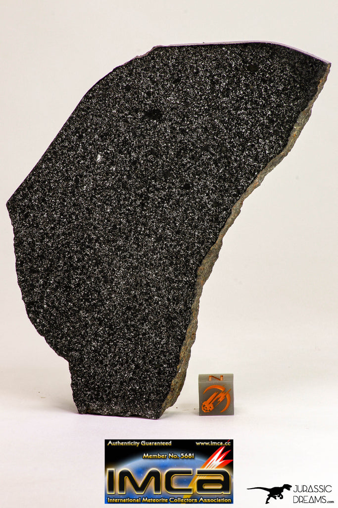 09102 - Top Rare Museum Grade NWA Polished Section of Enstatite Chondrite EL6 153.1 g