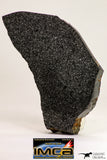 09102 - Top Rare Museum Grade NWA Polished Section of Enstatite Chondrite EL6 153.1 g