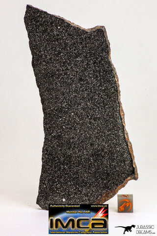 09099 -Top Rare Museum Grade NWA Polished Section of Enstatite Chondrite EL6  147.2 g