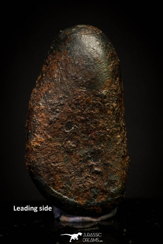 20936 - Taza (NWA 859) Iron Ungrouped Plessitic Octahedrite Meteorite 2.2g ORIENTED