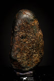 20936 - Taza (NWA 859) Iron Ungrouped Plessitic Octahedrite Meteorite 2.2g ORIENTED