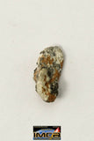 22257 - Lunar Meteorite Paired with "NWA 11273" 0.204 g (Feldspathic Regolith Breccia)