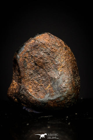 20937 - Taza (NWA 859) Iron Ungrouped Plessitic Octahedrite Meteorite 2.2g ORIENTED