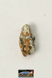 22257 - Lunar Meteorite Paired with "NWA 11273" 0.204 g (Feldspathic Regolith Breccia)