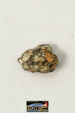 22259 - Lunar Meteorite Paired with "NWA 11273" 0.236 g (Feldspathic Regolith Breccia)