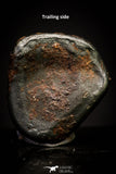 20938 - Taza (NWA 859) Iron Ungrouped Plessitic Octahedrite Meteorite 1.9g ORIENTED