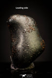 20939 - Taza (NWA 859) Iron Ungrouped Plessitic Octahedrite Meteorite 1.5g ORIENTED