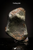 20939 - Taza (NWA 859) Iron Ungrouped Plessitic Octahedrite Meteorite 1.5g ORIENTED