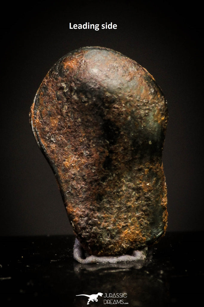 20940 - Taza (NWA 859) Iron Ungrouped Plessitic Octahedrite Meteorite 1.3g ORIENTED