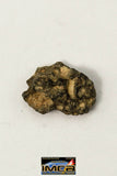 22262- Lunar Meteorite Paired with "NWA 11273" 0.291 g (Feldspathic Regolith Breccia)