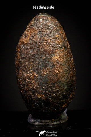 20941 - Taza (NWA 859) Iron Ungrouped Plessitic Octahedrite Meteorite 2.2g ORIENTED