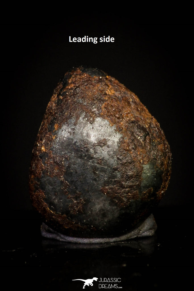 20942 - Taza (NWA 859) Iron Ungrouped Plessitic Octahedrite Meteorite 1.3g ORIENTED