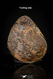 20942 - Taza (NWA 859) Iron Ungrouped Plessitic Octahedrite Meteorite 1.3g ORIENTED