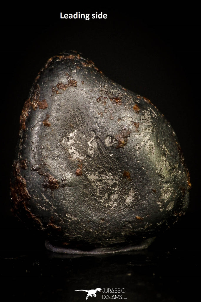 20943 - Taza (NWA 859) Iron Ungrouped Plessitic Octahedrite Meteorite 2.6g ORIENTED