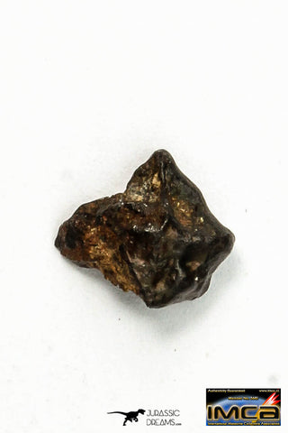 22270 - Top Rare NWA 10023 Anomalous Plessitic Pallasite Meteorite PMG-an 0.489 g
