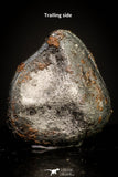 20943 - Taza (NWA 859) Iron Ungrouped Plessitic Octahedrite Meteorite 2.6g ORIENTED