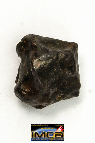 22271- Top Rare NWA 10023 Anomalous Plessitic Pallasite Meteorite PMG-an 1.886 g