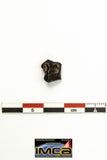 22271- Top Rare NWA 10023 Anomalous Plessitic Pallasite Meteorite PMG-an 1.886 g