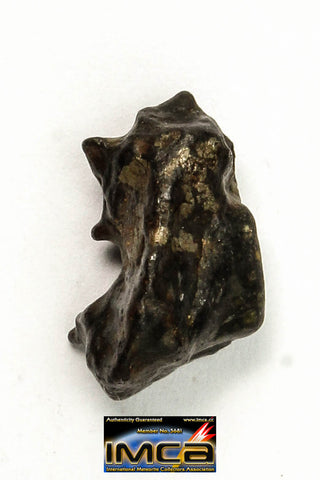 22272 - Top Rare NWA 10023 Anomalous Plessitic Pallasite Meteorite PMG-an 1.515 g