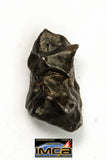 22272 - Top Rare NWA 10023 Anomalous Plessitic Pallasite Meteorite PMG-an 1.515 g