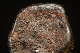 20944 - Taza (NWA 859) Iron Ungrouped Plessitic Octahedrite Meteorite 0.8g ORIENTED