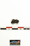 22272 - Top Rare NWA 10023 Anomalous Plessitic Pallasite Meteorite PMG-an 1.515 g