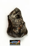 22273 - Top Rare NWA 10023 Anomalous Plessitic Pallasite Meteorite PMG-an 1.823 g