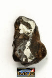 22273 - Top Rare NWA 10023 Anomalous Plessitic Pallasite Meteorite PMG-an 1.823 g