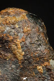 20945 - Taza (NWA 859) Iron Ungrouped Plessitic Octahedrite Meteorite 1.8g ORIENTED