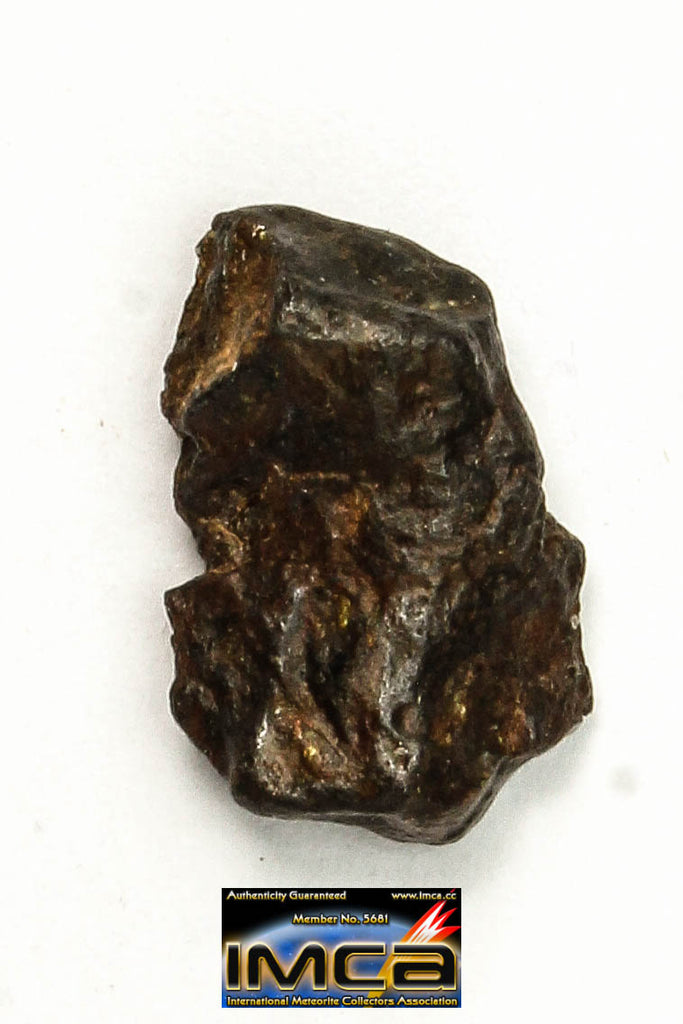 22274 - Top Rare NWA 10023 Anomalous Plessitic Pallasite Meteorite PMG-an 1.128 g