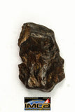 22274 - Top Rare NWA 10023 Anomalous Plessitic Pallasite Meteorite PMG-an 1.128 g
