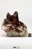 09110 - Top Beautiful 3.59 Inch Natural Red Iron-Oxide Coated Quartz Crystals Cluster