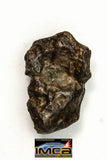 22274 - Top Rare NWA 10023 Anomalous Plessitic Pallasite Meteorite PMG-an 1.128 g
