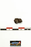 22274 - Top Rare NWA 10023 Anomalous Plessitic Pallasite Meteorite PMG-an 1.128 g