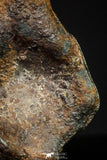 20945 - Taza (NWA 859) Iron Ungrouped Plessitic Octahedrite Meteorite 1.8g ORIENTED