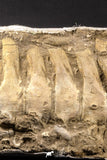 05213 - Museum Grade 17.32 Inch Unidentified Mosasaur 10 Associated Vertebrae Bones Late Cretaceous