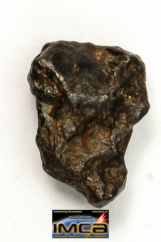 22275- Top Rare NWA 10023 Anomalous Plessitic Pallasite Meteorite PMG-an 2.356 g