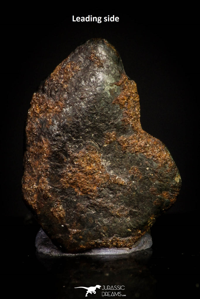 20946 - Taza (NWA 859) Iron Ungrouped Plessitic Octahedrite Meteorite 1.3g ORIENTED