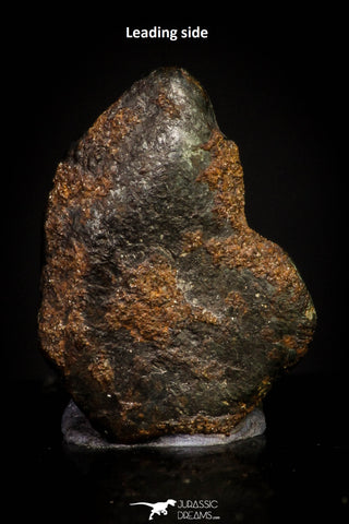20946 - Taza (NWA 859) Iron Ungrouped Plessitic Octahedrite Meteorite 1.3g ORIENTED
