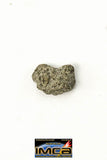 22276 - Top Rare "Tissint" MARTIAN Shergottite Meteorite 0.06 g