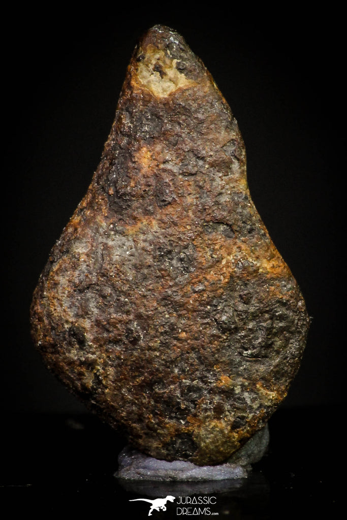 20947 - Taza (NWA 859) Iron Ungrouped Plessitic Octahedrite Meteorite 1.9g