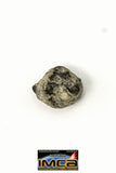 22278 - Top Rare "Tissint" MARTIAN Shergottite Meteorite 0.116 g