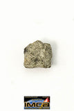 22279 - Top Rare "Tissint" MARTIAN Shergottite Meteorite 0.111 g