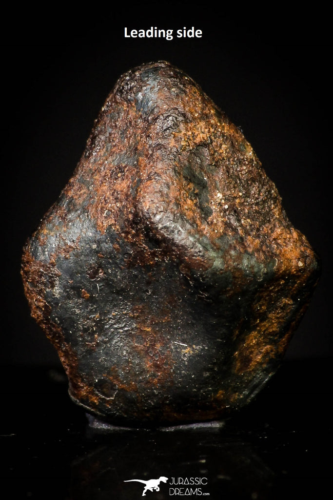 20948 - Taza (NWA 859) Iron Ungrouped Plessitic Octahedrite Meteorite 2.2g ORIENTED