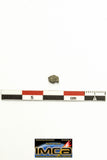 22280 - Top Rare "Tissint" MARTIAN Shergottite Meteorite 0.066 g