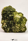 09113 - Slender Grass Green Epidote Crystals on Matrix Imilchil Mine Morocco